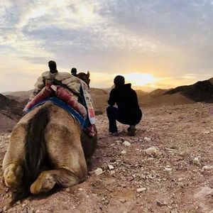 Meet your Posher, Lewis